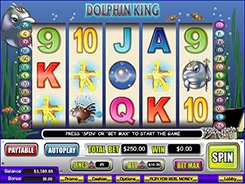 Dolphin King slots